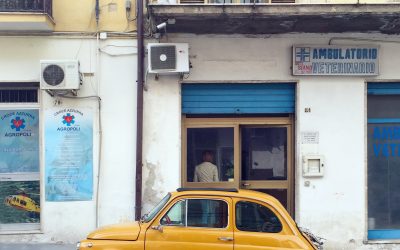 Las diferentes coberturas del seguro de auto