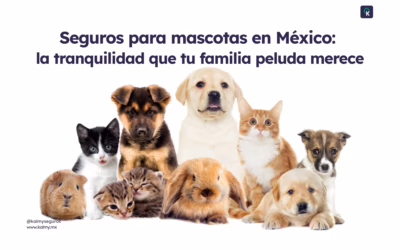 Seguros para mascotas en México: la tranquilidad que tu familia peluda merece